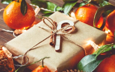 Weihnachtszeit: Geschenkideen für reiselustige Veganer