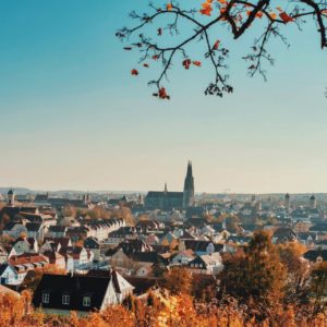 Vegan-Guide Regensburg: Entdecke die besten veganen Locations der Stadt!