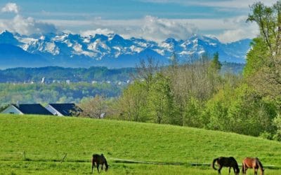 Vegan reisen in der Schweiz: Tipps von Bettina