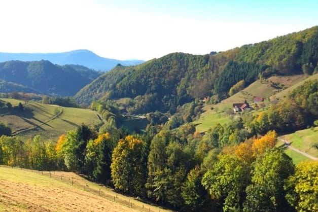 7 Tage All-inklusive Stille Retreat mit Meditation, Breathwork & Yoga im Schwarzwald