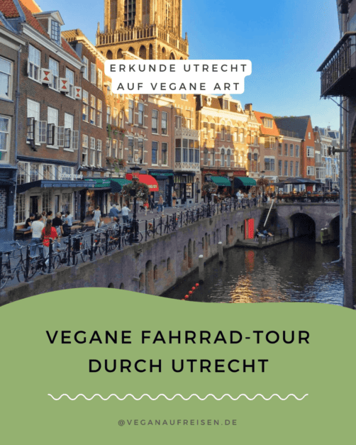 Vegan reisen in den Niederlanden: 6 Tipps für deine nächste Reise! 2