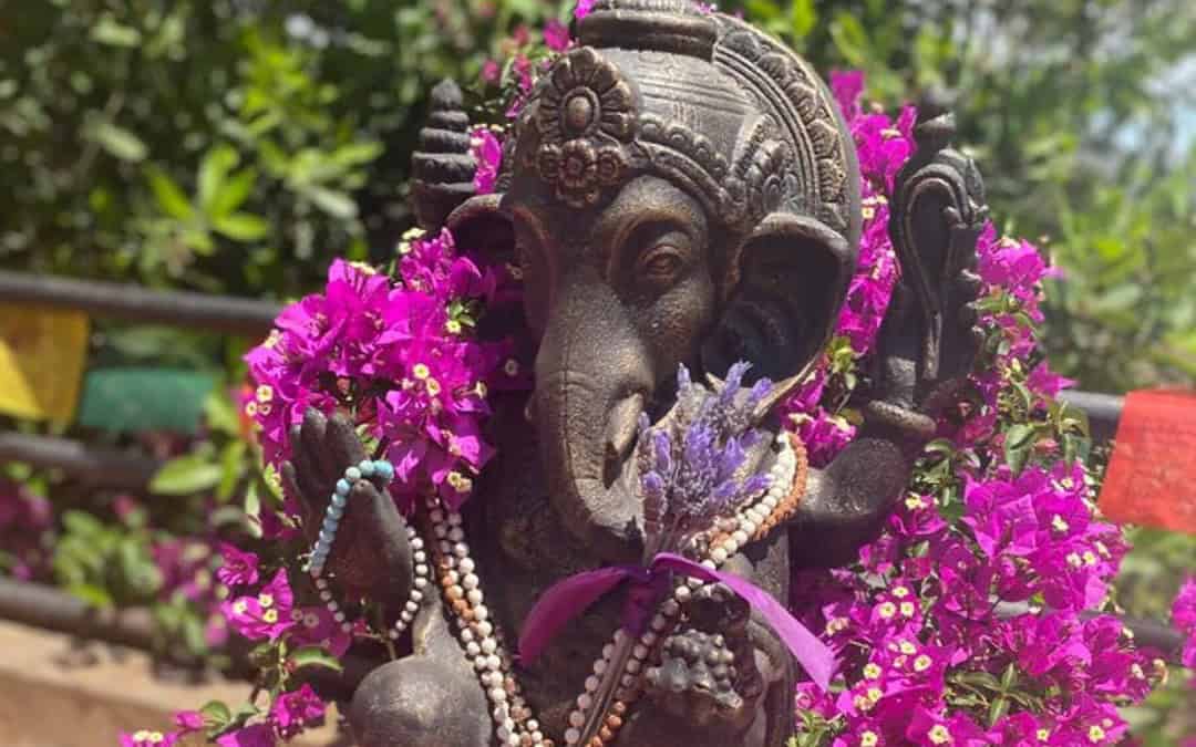 7 Tage Yoga & Mantra Wellness Retreat in Alicante