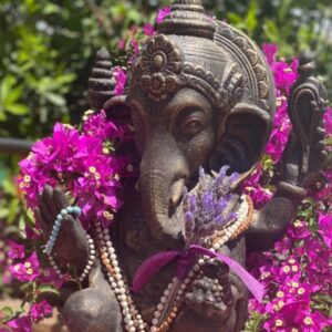 7 Tage Yoga & Mantra Wellness Retreat in Alicante